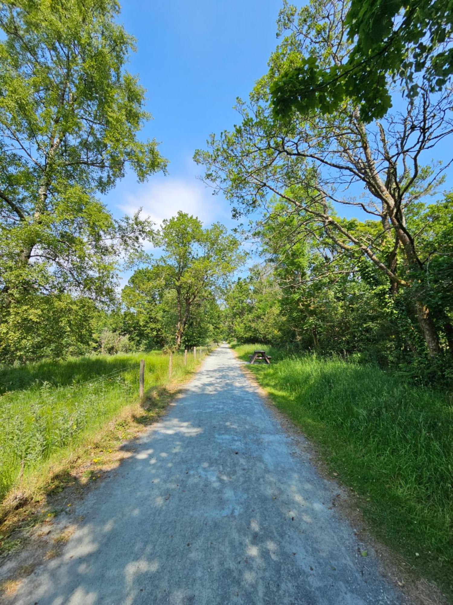 County LeitrimThe Kozeアパートメント 部屋 写真